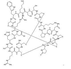 精氨酸/赖氨酸香蕉视频下载安装